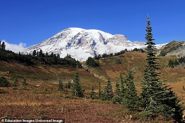 Der Mount-Rainer-Nationalpark liegt in Ashford, Washington und hat eine Todeswahrscheinlichkeit von eins zu 317.000