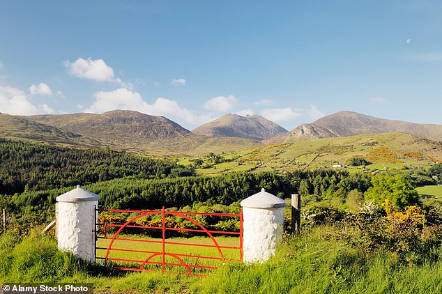 Pilgerreise: Lizzie Enfield wandert den Saint Patrick's Way in Nordirland, der an den Mourne Mountains vorbeiführt (im Bild)