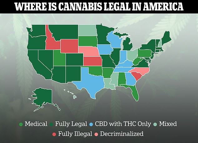 Die obige Karte zeigt die Staaten, die Cannabis legalisiert haben und welche nicht