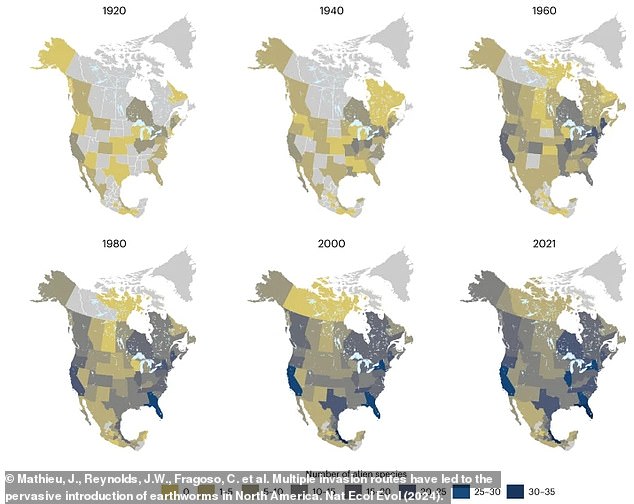 Die Karten zeigen, wie sich die Population der außerirdischen Regenwürmer alle 20 Jahre drastisch ausgebreitet hat