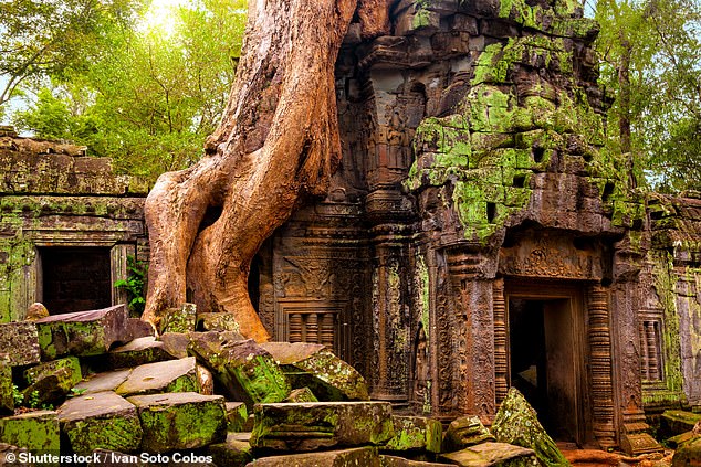 Atemberaubend: Der sogenannte „Tomb Raider“-Tempel, T¿ Prohm, ist ein Muss in der Region