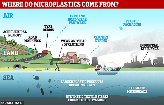 Mikroplastik ist scheinbar überall.  Aber woher kommen sie?  Diese Grafik zeigt einige ihrer vielen Quellen: industrielle Umweltverschmutzung, landwirtschaftliche Abwässer, Kleidung, Einwegkunststoffe und mehr