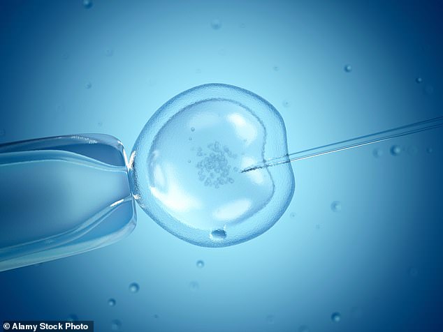 Die bahnbrechende Forschung der Monash University in Melbourne könnte der Schlüssel zur Verbesserung der IVF-Erfolgsraten sein, da die männliche Fruchtbarkeit weltweit weiter zurückgeht (Archivbild)