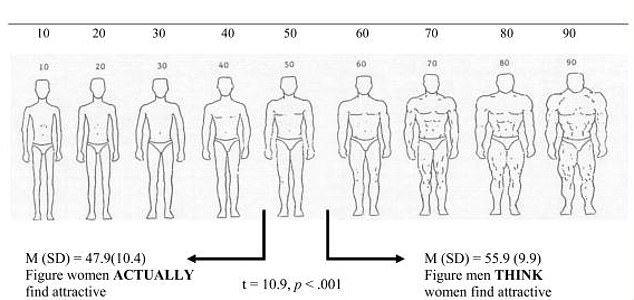 Das Obige zeigt männliche Körper, dargestellt auf einer Skala der Muskulatur von sehr wenig Muskeln bei 10 bis zu vielen Muskeln bei 90. Die Ergebnisse zeigten, dass Frauen Männer mit einem durchschnittlichen Muskelniveau bevorzugten
