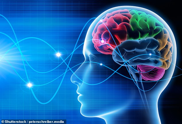 Business-Brainwave: Die Gehirngesundheitstests von Cambridge Cognition können auf einem Smartphone durchgeführt werden