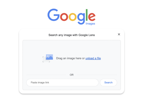 Google-Bildersuchmaschine 