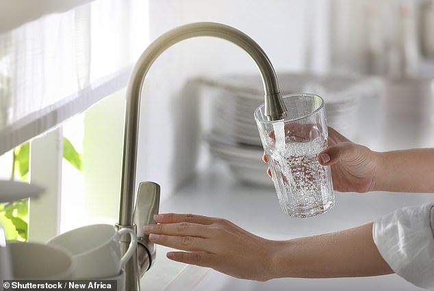 Der Regierungsrat besagt, dass Briten es vermeiden sollten, Wasser aus dem heißen Wasserhahn zum Kochen zu trinken oder zu verwenden (Archivbild)