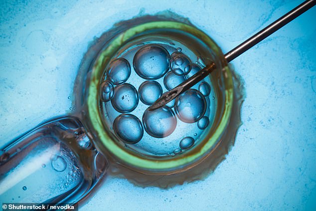 136 Frauen haben möglicherweise ihre Chance, leibliche Eltern zu werden, verloren, da eine NHS-Fruchtbarkeitsklinik warnt, dass ihre eingefrorenen Eizellen und Embryonen den Auftauprozess aufgrund eines Fehlers möglicherweise nicht überleben (Archivbild)