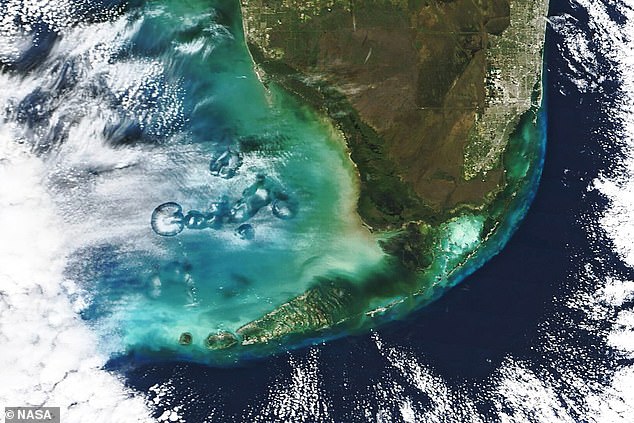 Eine bizarre Wolkenkette nördlich der Florida Keys sieht aus wie eine riesige schwimmende Qualle.  Diese im Januar vom Terra-Satelliten der NASA aufgenommenen „Cavum-Wolken“ (oben) sind „so seltsam, dass die Leute manchmal behaupten, sie seien Signaturen fliegender Untertassen“, so die US-Weltraumbehörde