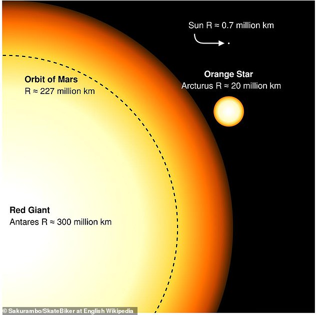 Es ist schwer abzuschätzen, wie groß die Sonne werden wird, aber am oberen Ende könnte sie einen Durchmesser von bis zu 186 Millionen Meilen (300 Millionen km) erreichen, was der gleichen Größe wie der Rote Riese Antares (im Bild) entspricht.