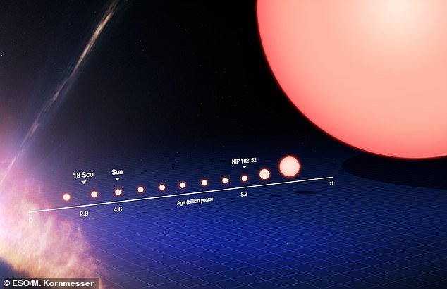Dieses Diagramm verfolgt das Leben eines sonnenähnlichen Sterns von der Geburt bis zu seiner Entwicklung zu einem Roten Riesen.  Links beginnt der Stern als Staubwolke und durchläuft die Phasen der Hauptreihe, bis er rechts zu einem Roten Riesen wird