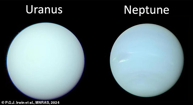 Wenn die Sonne mehr als 50 Prozent ihrer Masse verliert, wenn sie zu einem planetarischen Nebel wird, werden Uranus und Neptun (im Bild) von der Kraft in den Weltraum geschleudert