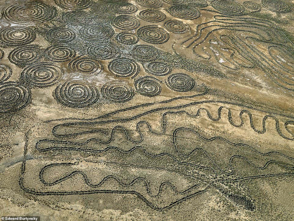 DESERT SPIRALS, VERNEUKPAN, NORTHERN CAPE, SOUTH AFRICA: 'These whimsical patterns, reminiscent of the abstract mark-making of primaeval artists, have a practical purpose,' reveals the book, 'to convert desert into arable land. Also known as swales, they were ploughed in the dry season to capture water during the infrequent rainfall, trap wind-borne seeds and prevent erosion'