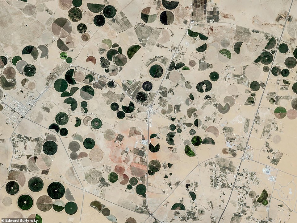 SATELLITE CAPTURE, PIVOT IRRIGATION NEAR BURAYDAH, SAUDI ARABIA: The book says: 'Pivot irrigation produces the vast stretches of green crop circles that we see when flying over arid regions such as Saudi Arabia and the American Southwest. Water is pumped up from aquifers deep underground and distributed along lengthy motorised pipes. Sprinkler and row irrigation systems are much less efficient than pivot and drip irrigation because the evaporation rate is high in arid regions. Although the practice has dramatically increased food production, it is not sustainable; "fossil water" is limited and takes centuries to replenish. Many pivot-irrigated farms elsewhere have run dry as evidenced by the fading circles in this image'