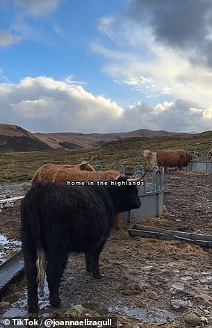Joanna postet Ausschnitte aus ihrem Leben auf der Isle of Skye auf TikTok