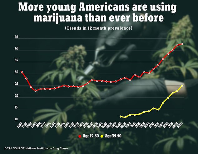 Der Zusammenhang zwischen Freizeitkonsum von Marihuana und Alkoholkonsum war in den letzten Jahren bei jüngeren Erwachsenen im Alter von 18 bis 24 Jahren am deutlichsten