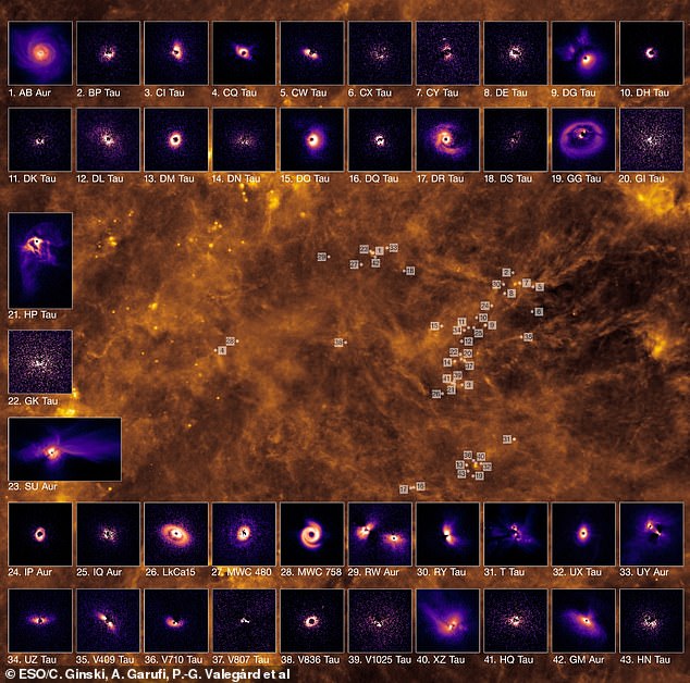 Planetenbildende Scheiben in der Taurus-Wolke.  Diese Wolke beherbergt eine Sternentstehungsstätte mit Hunderten neu entstandener Sterne