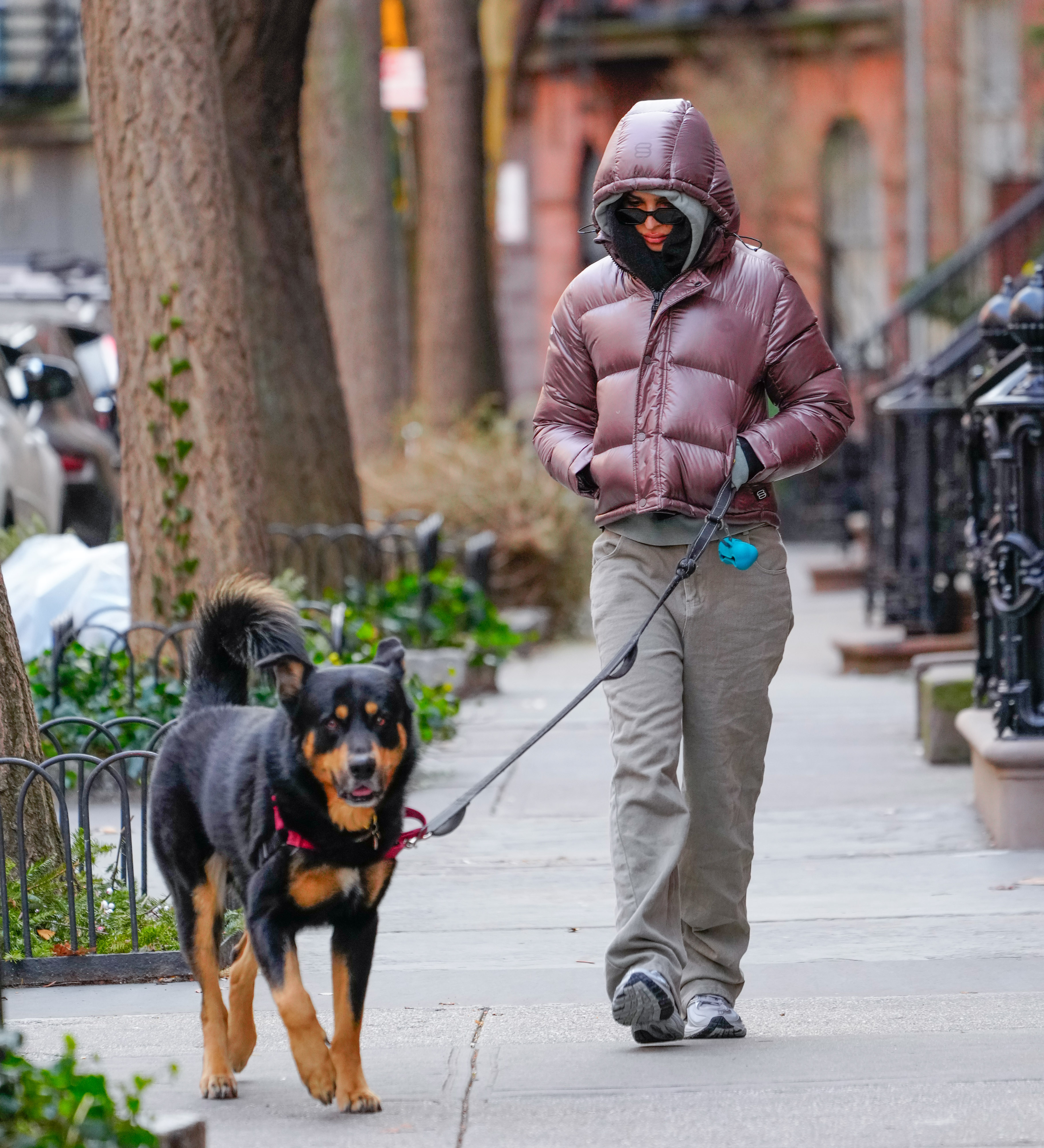 Emily Ratajokowski geht mit ihrem Hund Columbo spazieren