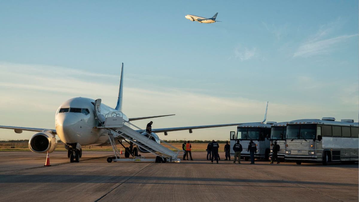 Migranten steigen neben einem Flugzeug in einen Abschiebeflug mit drei Bussen