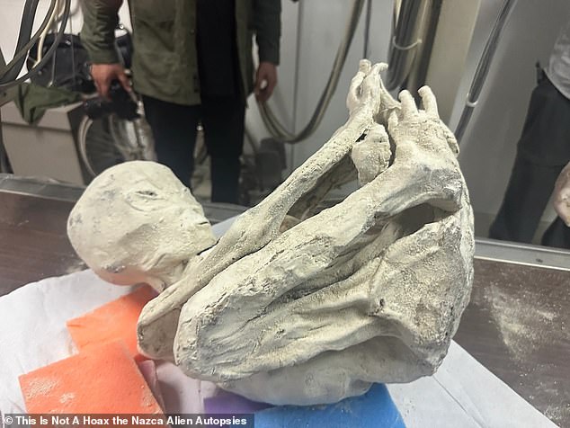 Eines der beiden „mumifizierten humanoiden“ Exemplare – ein 1,20 m großes, skelettartiges Wesen, das scheinbar in einer defensiven Haltung zusammengerollt ist (oben) – wurde getestet, während die Filmemacher im Folgenden auch ein weiteres 2,70 m großes Wesen entdeckten ihre Reisen nach Peru