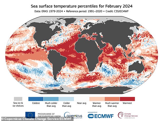 Abgebildet ist die Meeresoberflächentemperatur im Februar 2024. Dies ist eine separate Metrik zur Messung der Hitze auf der Welt
