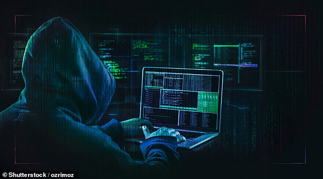 Hacker, die ein DNS angreifen, wären eine wirksame Möglichkeit, eine Website zum Absturz zu bringen, und würden Tausende von Dollar pro Minute kosten, sagte ein Cybersicherheitsexperte gegenüber DailyMail.com