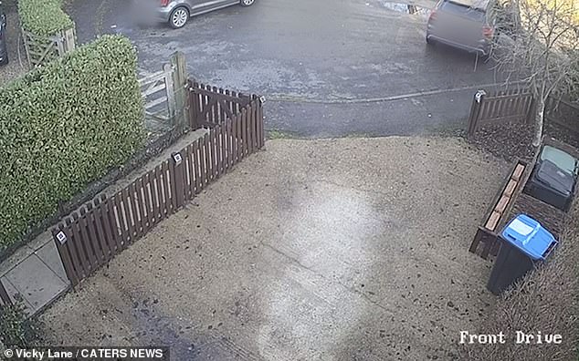 Die Kundenbetreuerin hätte bei dem Versuch, ihr Auto zu retten, beinahe einen Zaun zum Einsturz gebracht