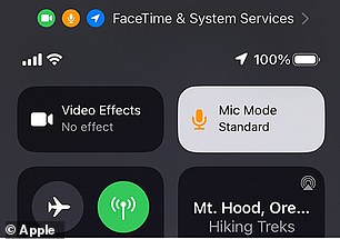 Während eines iPhone-Anrufs versteckt sich in einem Dropdown-Menü die Geräuschisolierung – eine Funktion von iOS 17, die Hintergrundgeräusche herausfiltern kann und dabei hilft, Ihre Stimme oder die eines anderen Anrufers deutlich hervorzuheben