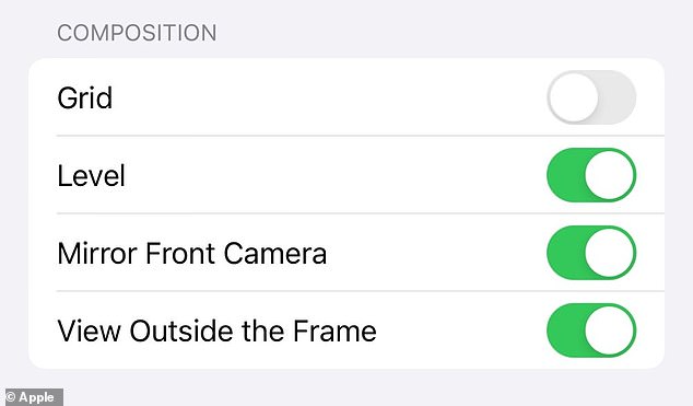 Neue Kippschalter in der iPhone-Kamera, „Raster“ und „Niveau“, werden selbst den amateurhaftesten Digitalfotografen dabei helfen, bessere Selfies zu machen.  Das Raster und die Ebene werden über den Bildschirm gelegt und verfärben sich gelb, um anzuzeigen, dass Sie Ihr Bild gerade ausgerichtet haben