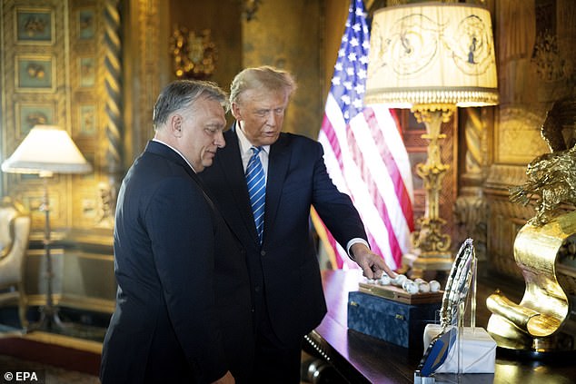 Der republikanische Präsidentschaftskandidat Donald Trump spricht mit dem ungarischen Premierminister Viktor Orbán während ihres Treffens auf Trumps Anwesen Mar-a-Lago in Palm Beach, Florida