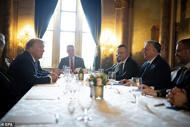 Man sieht Trump und Orbán bei ihrem Treffen am Freitag in Mar-a-Lago im Gespräch
