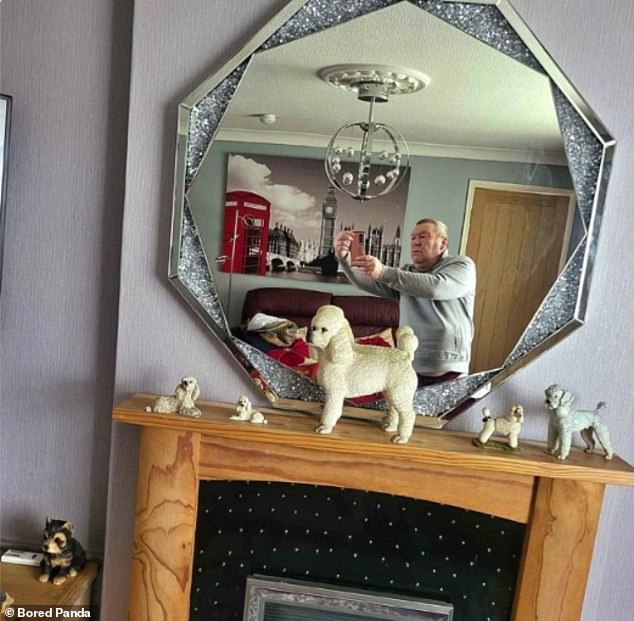 Die Spiegel-Selfies in diesem britischen Haus verraten auch einige interessante Innenarchitekturentscheidungen, darunter eine Ausstellung von Modellpudeln