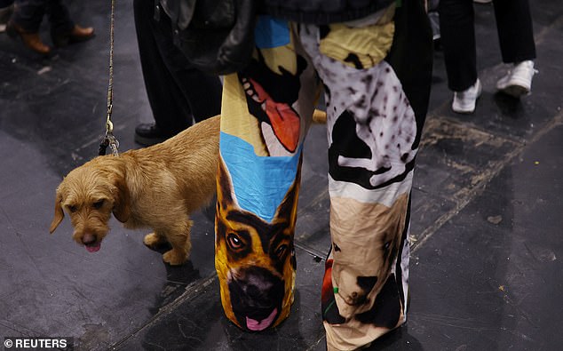 PASSENDE HOSE: Ein Hund ist mit seinem Hundeführer zu sehen, der eine neuartige Hose trägt, die mit Eckzähnen verziert ist