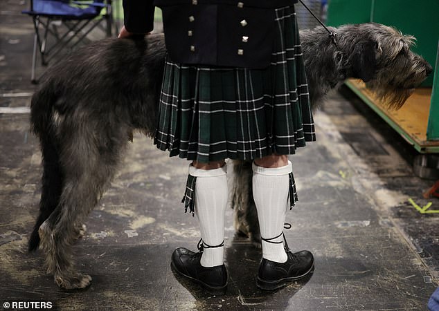 Ein irischer Wolfshund steht mit seinem Besitzer, der einen Kilt trägt, auf der Crufts-Hundeausstellung in Birmingham