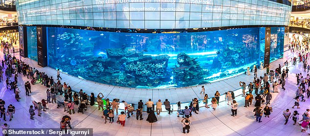 Im Jahr 2022 verzeichnete die Dubai Mall einen Anstieg der Besucherzahl von 88 Millionen um 19 Prozent.  Oben ist das epische Aquarium des Einkaufszentrums