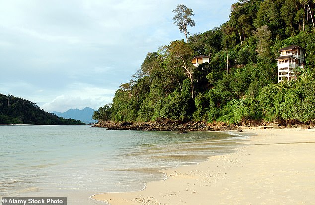 There are few beaches sitting in rainforests like the Datai Bay in Langkawi, Malaysia