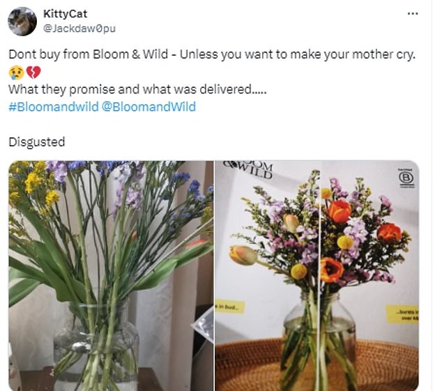 Diese Person war enttäuscht, als sie einen sehr spärlichen Blumenstrauß erhielt und nicht den üppigen, den sie beworben hatte