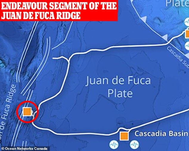 Geologen der University of Washington beobachteten die Beben diesen Monat in der Nähe des Endeavour-Abschnitts des Juan de Ruca Ridge, der mehr als 16.000 Fuß unter dem Pazifischen Ozean und etwa 150 Meilen vor der Küste Washingtons liegt