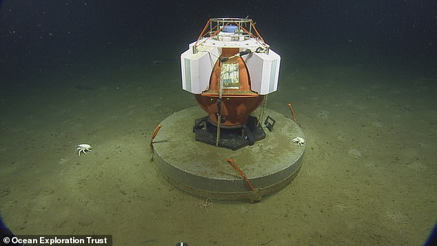 Dieses Fetch-Gerät überwacht die seismische Aktivität auf dem Meeresboden als Teil des ONC-Observatoriums NEPTUNE.  Ein paar Tiefseehummer untersuchen es