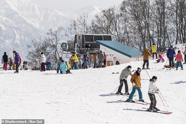 Forscher prognostizieren, dass in einem Szenario mit hohen Emissionen in Skigebieten in den japanischen Alpen wie diesem in Niigata jedes Jahr 50 Prozent weniger Tage mit Schnee bedeckt sein könnten