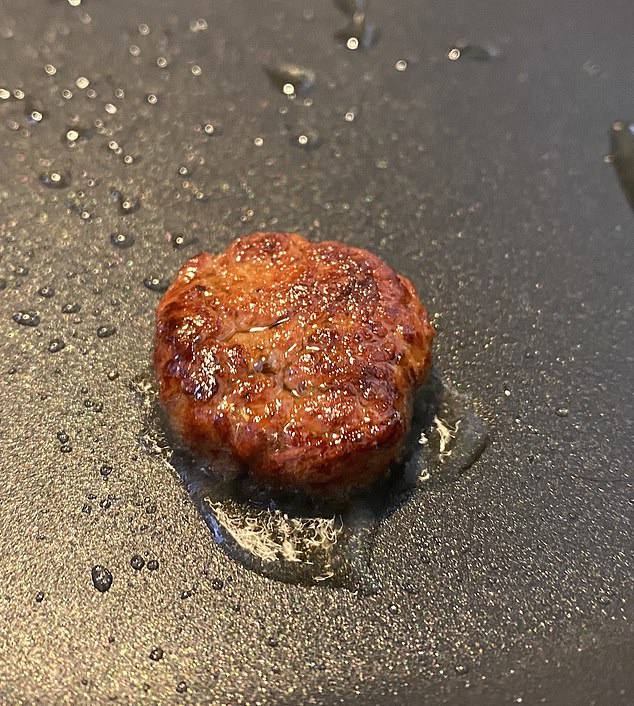 Die Forscher schufen aus Koji-Schimmel einen sogenannten „verlockend aussehenden Burger“.