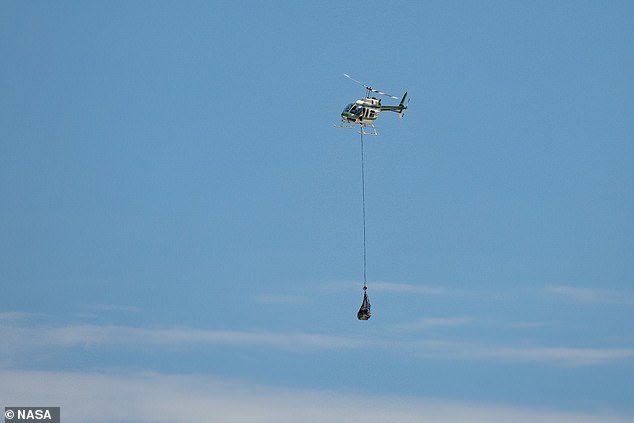 A helicopter takes the precious cargo back to labs for studying