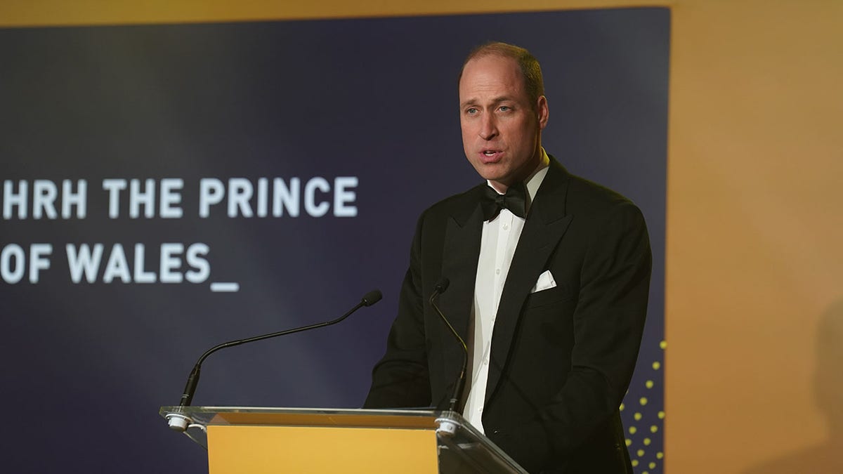 Prinz William hält auf dem Podium eine Rede bei den Diana Awards