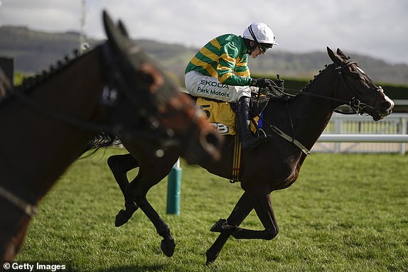 CHELTENHAM, ENGLAND - MARCH 15: Mark Walsh riding Majborough (green/gold) clear the last to win The JCB Triumph Hurdle during day four of the Cheltenham Festival 2024 at Cheltenham Racecourse on March 15, 2024 in Cheltenham, England. (Photo by Alan Crowhurst/Getty Images)