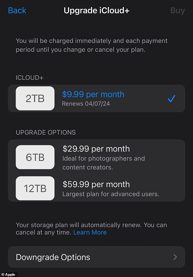 Apple verlangt derzeit 9,99 US-Dollar pro Monat für 2 Terabyte Speicher (2.000 Gigabyte).  Dies ist ausreichend für den Durchschnittsmenschen, der nicht professionell Fotos und Videos aufnimmt.