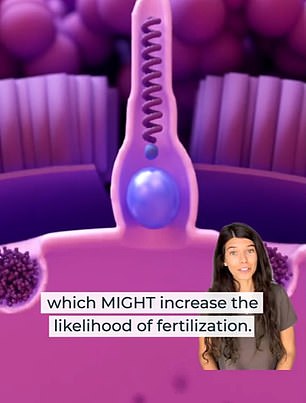 Dr. Samantha Briguglio, Ärztin für naturheilkundliche Fruchtbarkeit bei Inito Fertility, postete auf TikTok, dass weibliche Orgasmen das Schwangerschaftsrisiko erhöhen könnten
