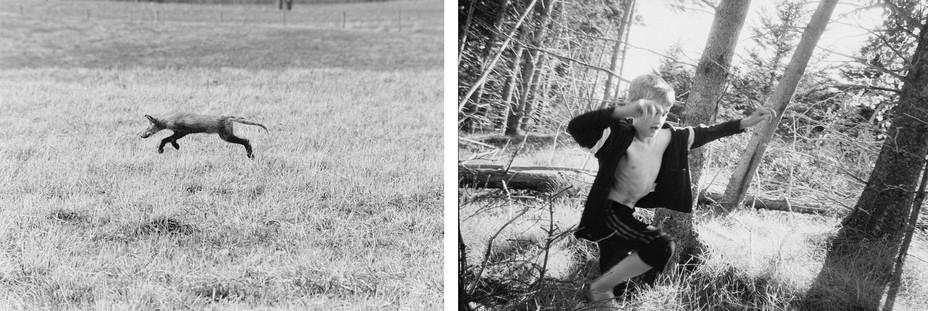 BW-Diptychon: Ein über ein Feld springender Fuchs, gegenüber läuft ein Kind durch den Wald