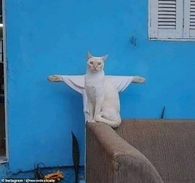 Heilige Katze!  Diese Katze sitzt vor einer Statue von Jesus am Kreuz und sieht komisch aus, als hätte er Arme