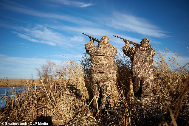 In Kansas muss die gesamte Jagd zu Fuß erfolgen.  Es gibt einige Ausnahmen, darunter Menschen mit körperlichen Behinderungen und Jäger, die es auf Kojoten abgesehen haben