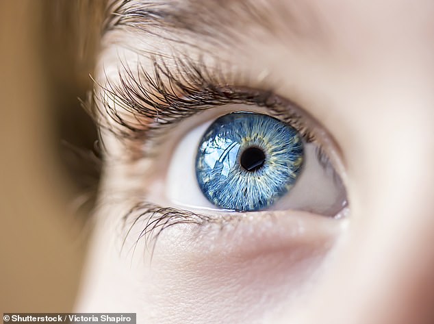 Britische Kinder im Alter von vier Jahren tragen spezielle Kontaktlinsen, um dem wachsenden Problem entgegenzuwirken